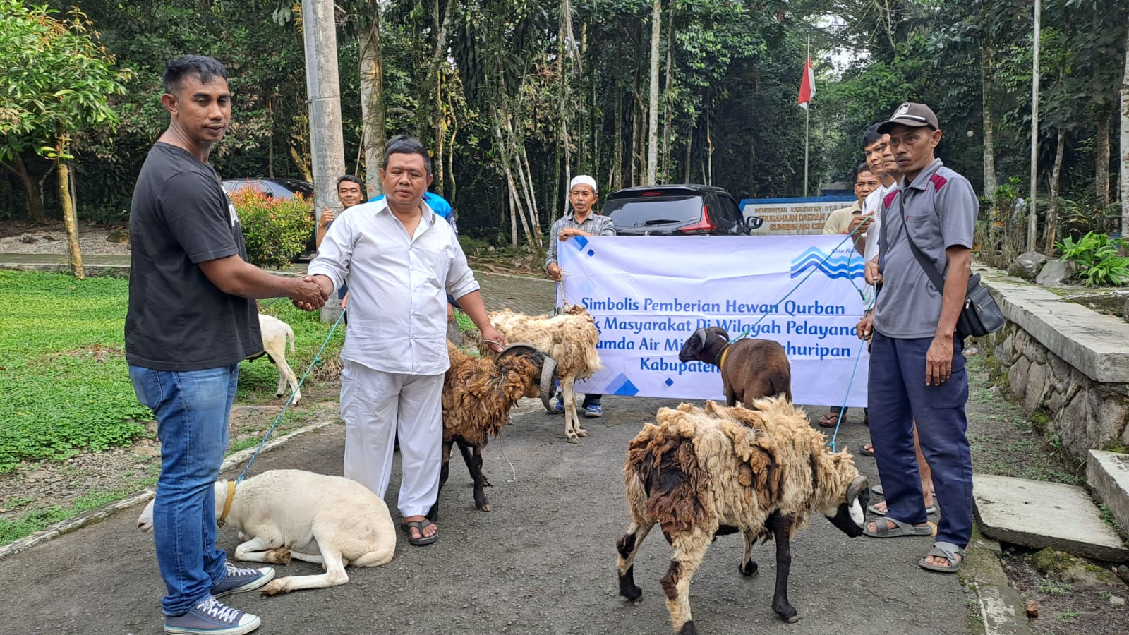 Sambut Idul Adha 1444 H, Perumda Air Minum Tirta Kahuripan Bagikan Hewan Kurban
