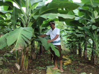 Perjalanan Reforma Agraria di Asahduren Bali, Sertipikat Tanah Ulayat Buka Akses Ekonomi Masyarakat