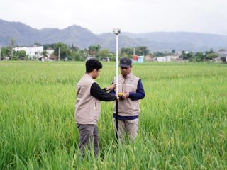 Kementerian ATR/BPN Uji Coba Layanan Pengukuran Terjadwal di 38 Kantor Pertanahan dalam Antisipasi Penumpukan Berkas