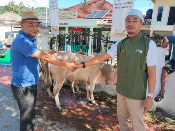 PT Antam  UBPE Pongkor Salurkan 17 Ekor Sapi dan 52 Ekor Kambing Kurban