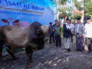 Serahkan Hewan Kurban ke Ponpes Darunnajah, Menteri Nusron: Iduladha Jadi Momentum Mempererat Kebersamaan