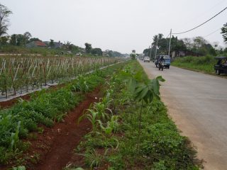 Penataan Lahan Bomang Libatkan Berbagai Dinas, Setiap Area Disiapkan Sesuai Fungsi