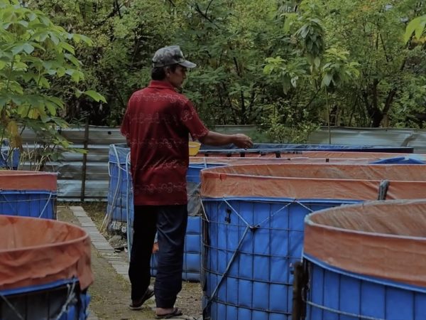 Desa Gunung Putri Bangun Kemandirian Lewat Inovasi dan Kolaborasi